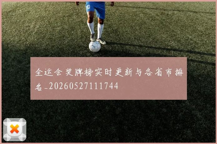 全运会奖牌榜实时更新与各省市排名_20260527111744